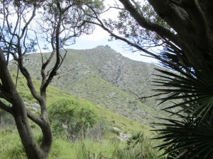 IMG_6612 (Medium)